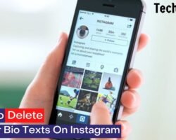 How to Delete Former Bio Texts on Instagram