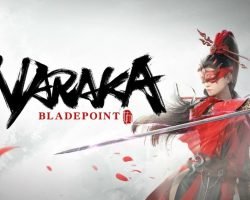 Naraka Bladepoint Player Count